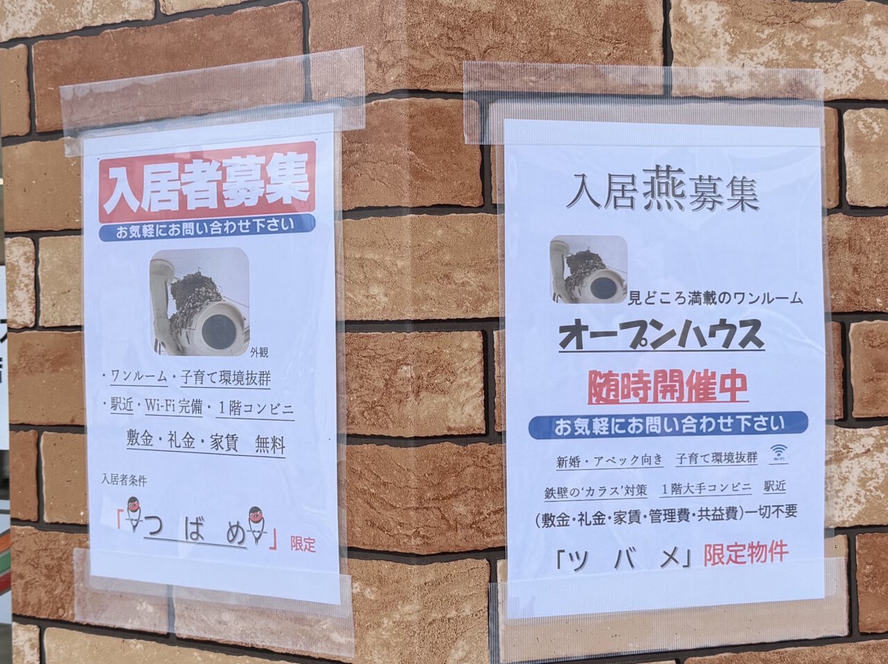 【神戸市東灘区】思わずほっこり♪ セブン-イレブン神戸本山駅南店で見つけた「ツバメ限定物件」の貼り紙を発見(≧▽≦)