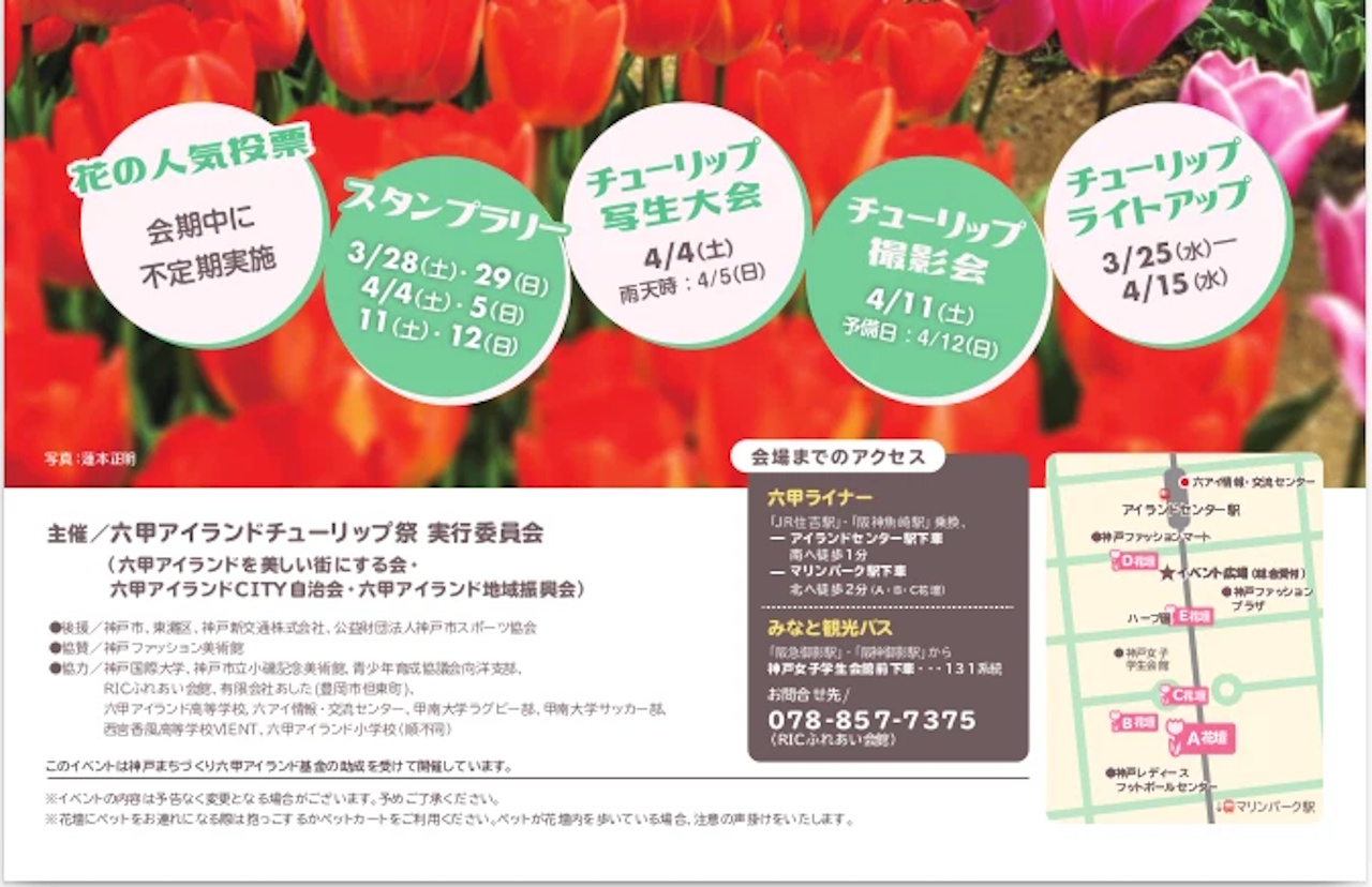 【神戸市東灘区】春の風物詩 第25回 六甲アイランド『チューリップ祭』2026年3月28日(土)〜4月12日(日)開催♪ライトアップもスタート！