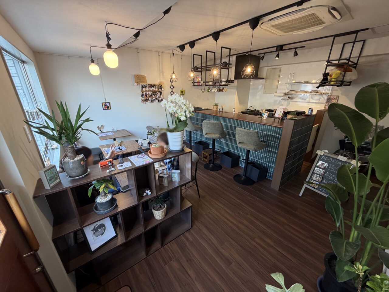 【神戸市灘区】猫好き店主が営む占いとカフェ「CAFE MICIO(カフェミーチョ)」さん 2月12日オープン♪ 王子公園