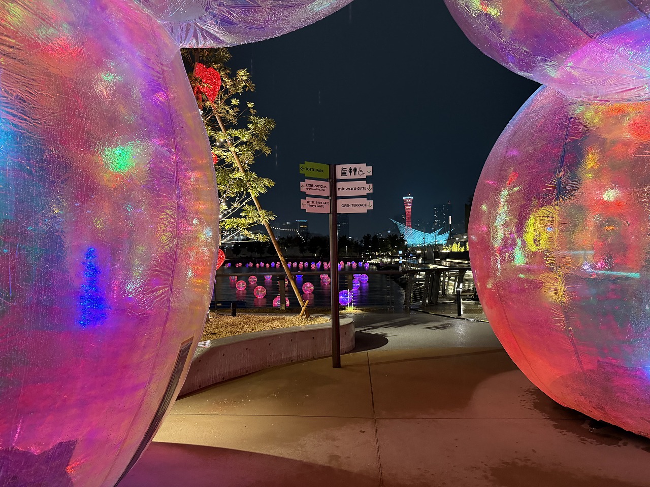 【神戸市中央区】TOTTEI KOBEで幻想の春夜景♪ 日本初上陸の水辺アートKOBE BUBBLUMI 2026と“光の桜”を見てきました！