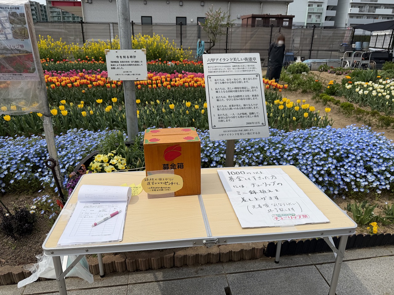 【神戸市東灘区】六甲アイランド「チューリップ祭り」へ行ってきました♪ 今年は早めの開花でネモフィラとの共演も見事！