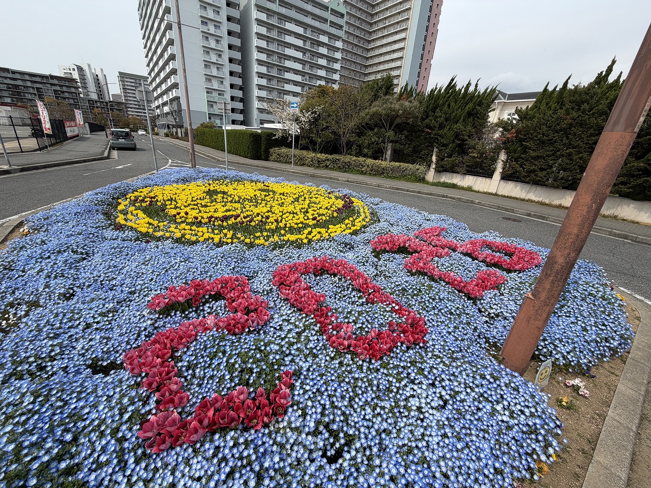 【神戸市東灘区】六甲アイランド「チューリップ祭り」へ行ってきました♪ 今年は早めの開花でネモフィラとの共演も見事！