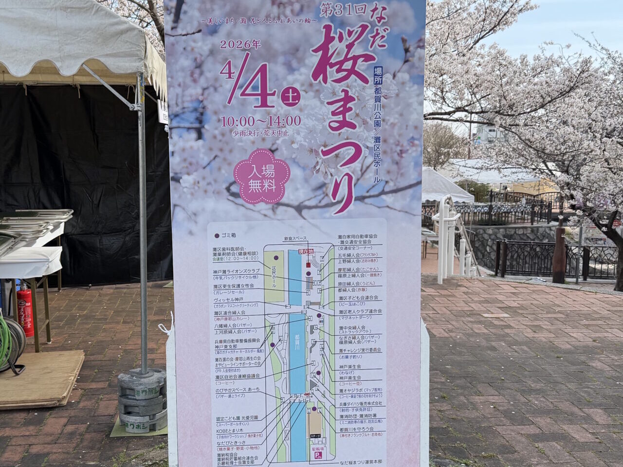 【神戸市灘区】明日4月4日開催！なだ桜まつりの会場をひと足先に見てきました♪ 桜は見頃、設営も進行中です