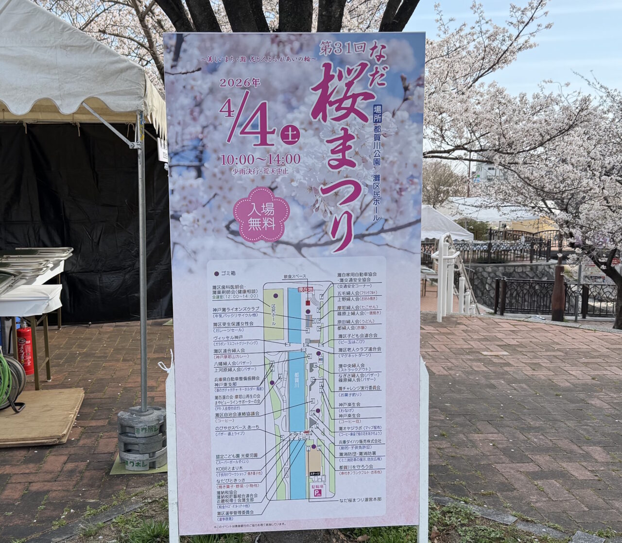 【神戸市灘区】明日4月4日開催！なだ桜まつりの会場をひと足先に見てきました♪ 桜は見頃、設営も進行中です