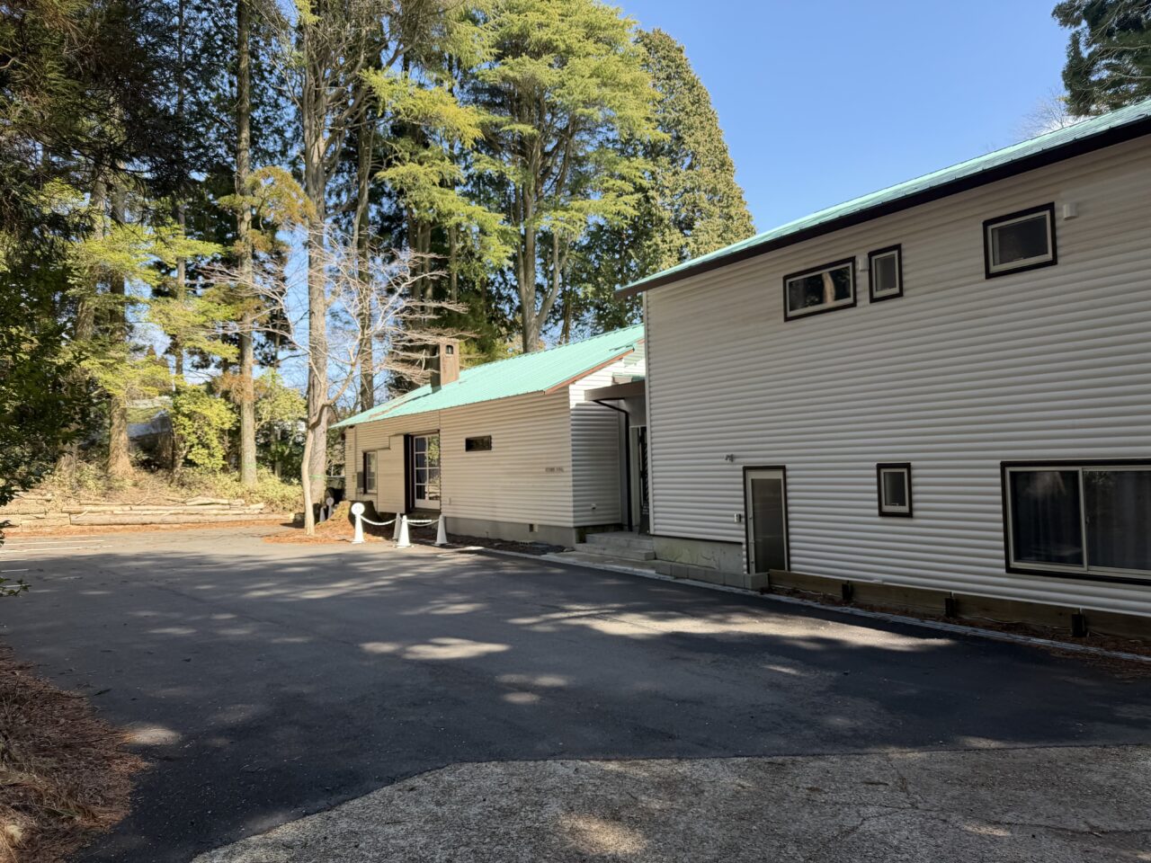 手間がかかっているのが感じられて、「このお店、きっと何を頼んでも丁寧なんだろうな」と思わせてくれる内容でした。