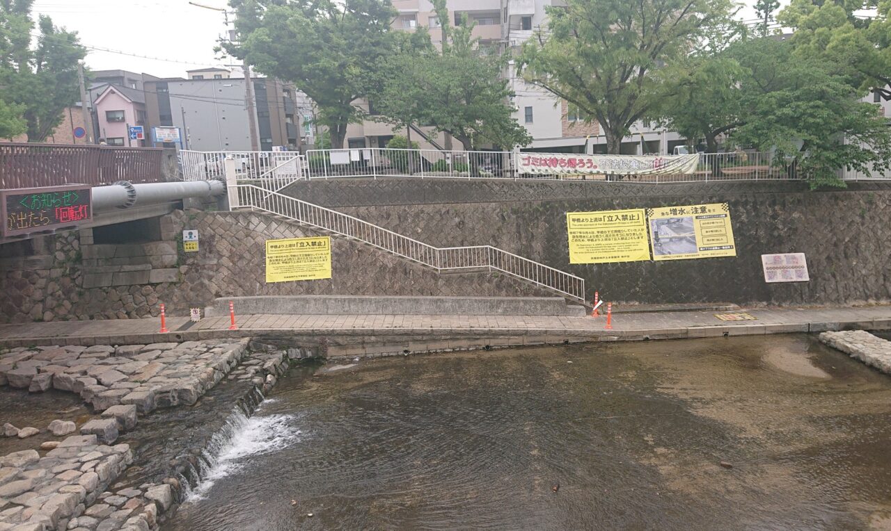 【神戸市灘区】新緑の摩耶山を背景に、都賀川で鯉のぼりが泳いでいます♪ 雨による急変にはご注意。