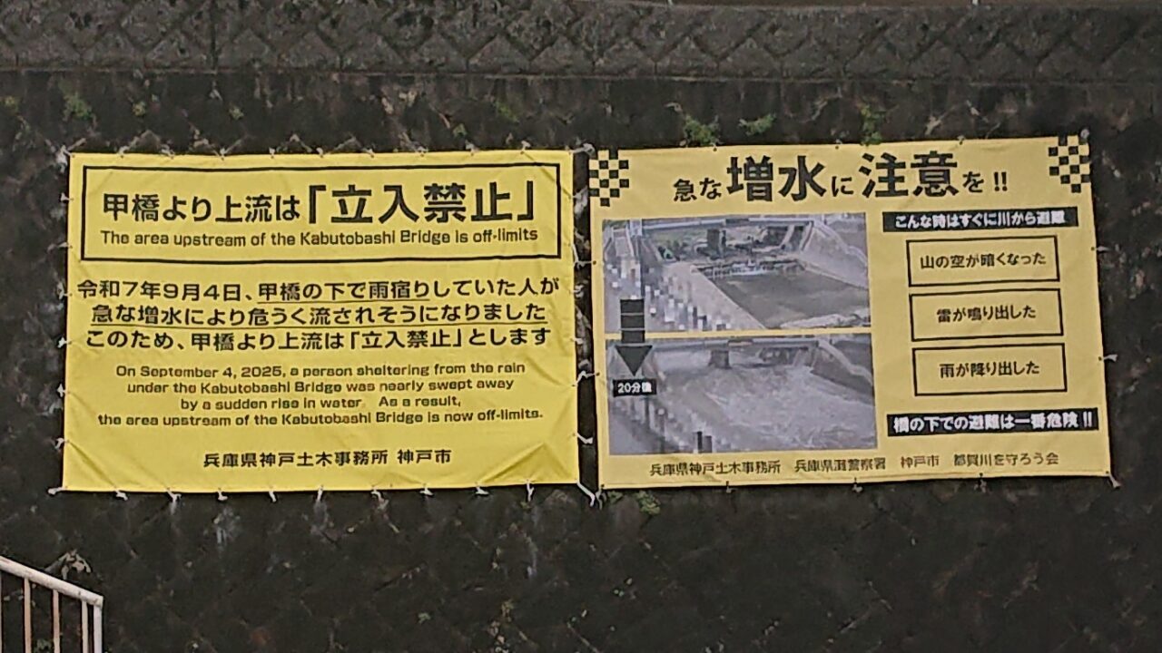 【神戸市灘区】新緑の摩耶山を背景に、都賀川で鯉のぼりが泳いでいます♪ 雨による急変にはご注意。