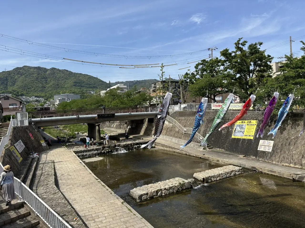 【神戸市灘区】新緑の摩耶山を背景に、都賀川で鯉のぼりが泳いでいます♪ 雨による急変にはご注意。