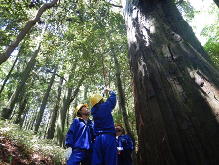 【神戸市灘区】夏休みの思い出に! 六甲山で自然を学ぶ親子イベントが8月1日開催。木工クラフト体験も♪