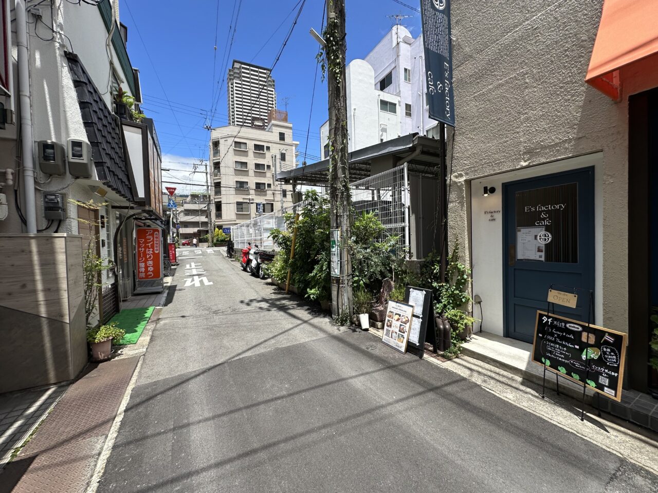 ご飯の上にチキンがのったプレートに、野菜も添えられていて、カフェの雰囲気の中でタイ料理ランチを楽しめるのは、ちょっと嬉しい発見です。