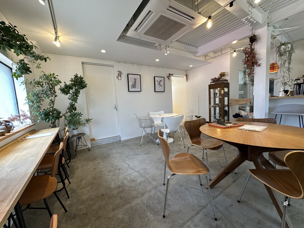 ご飯の上にチキンがのったプレートに、野菜も添えられていて、カフェの雰囲気の中でタイ料理ランチを楽しめるのは、ちょっと嬉しい発見です。