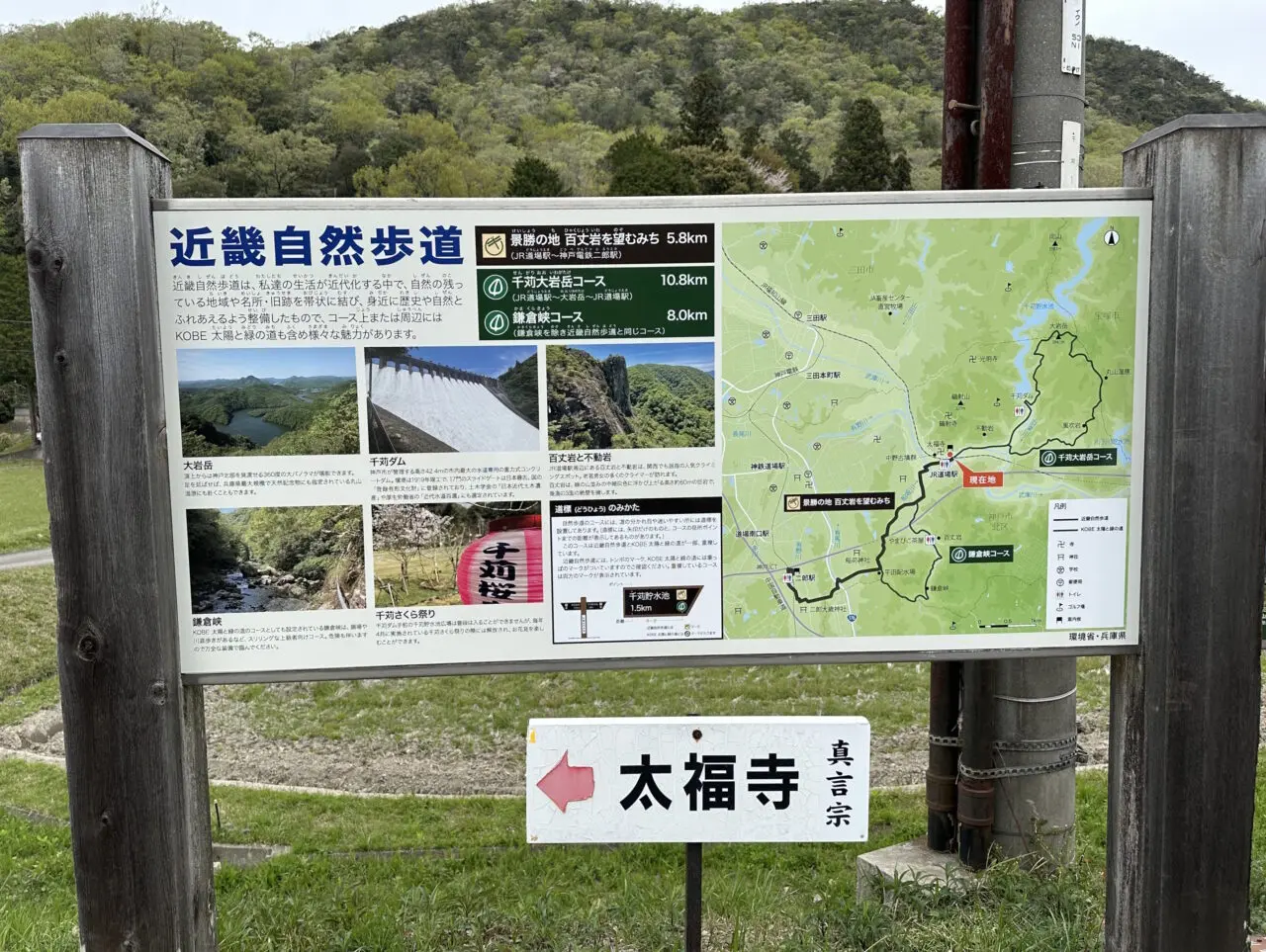 【神戸市】とうとう神戸市内でもクマの情報が…。6月11日、北区道場町の山林で成獣とみられるクマを撮影