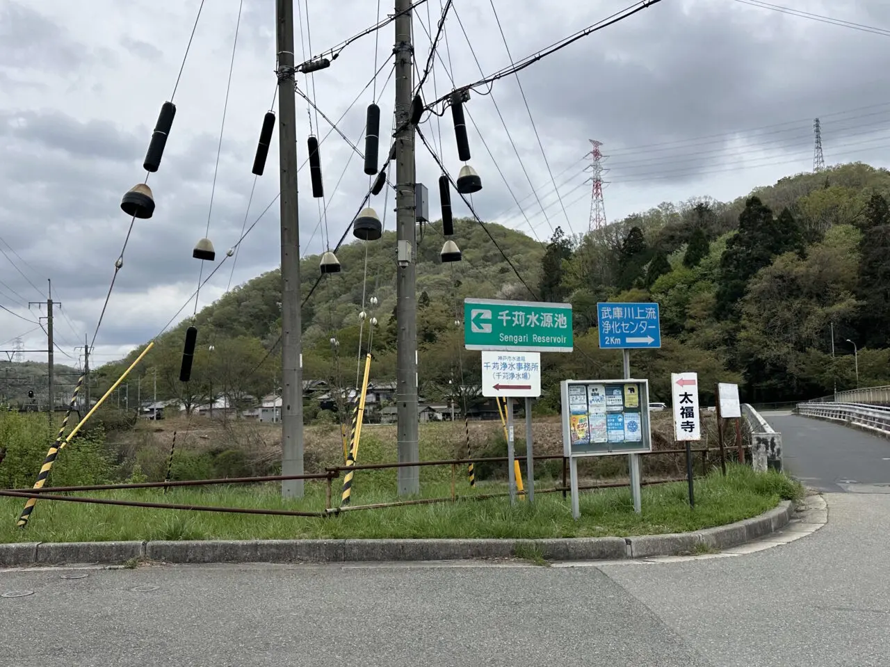 【神戸市】とうとう神戸市内でもクマの情報が…。6月11日、北区道場町の山林で成獣とみられるクマを撮影