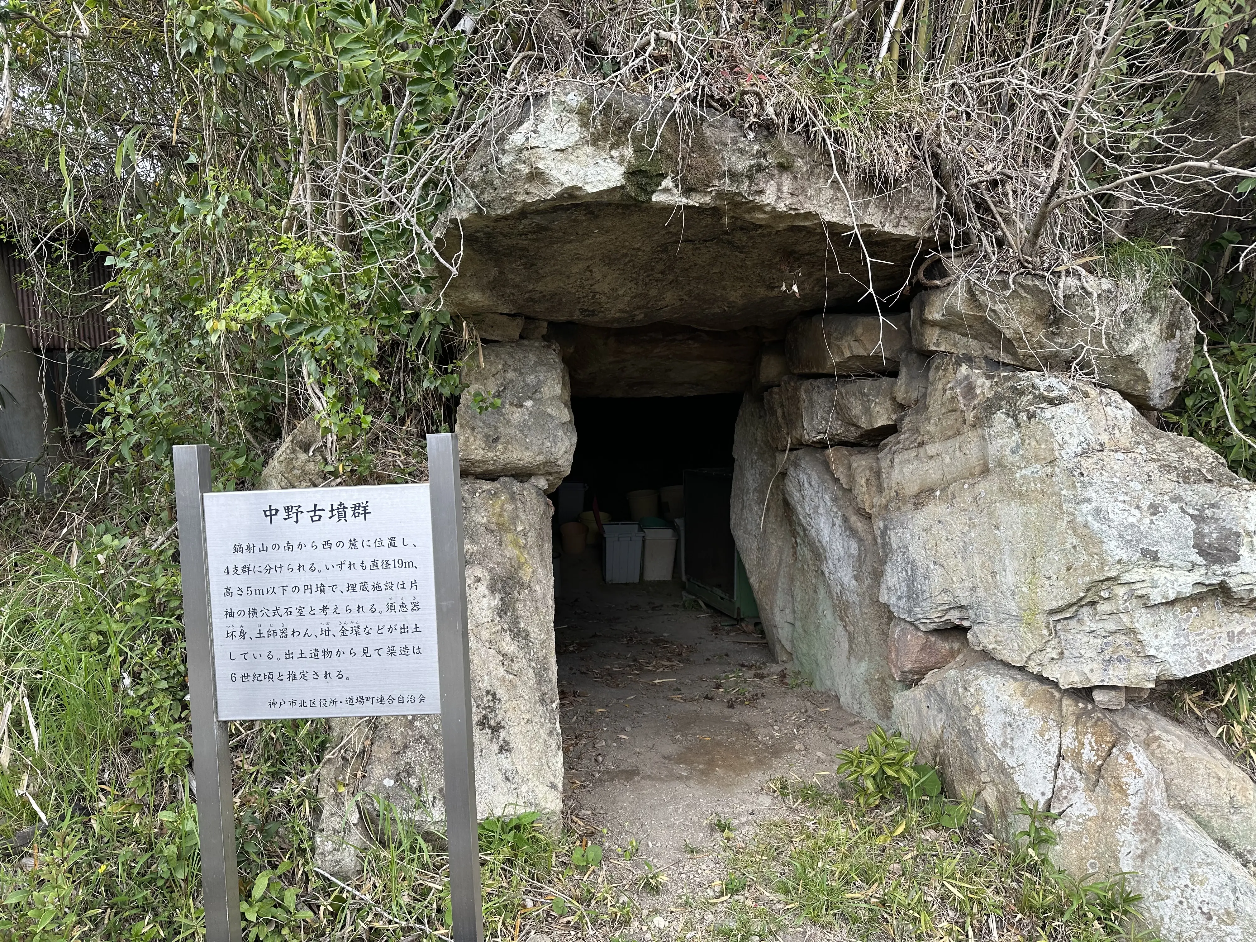 【神戸市】とうとう神戸市内でもクマの情報が…。6月11日、北区道場町の山林で成獣とみられるクマを撮影