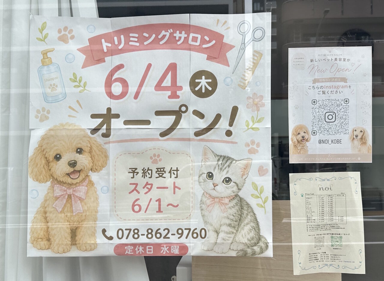 【神戸市灘区】犬と猫のトリミングサロン「dog&cat grooming noi」が6月4日オープン！ 水色の外観が目印です