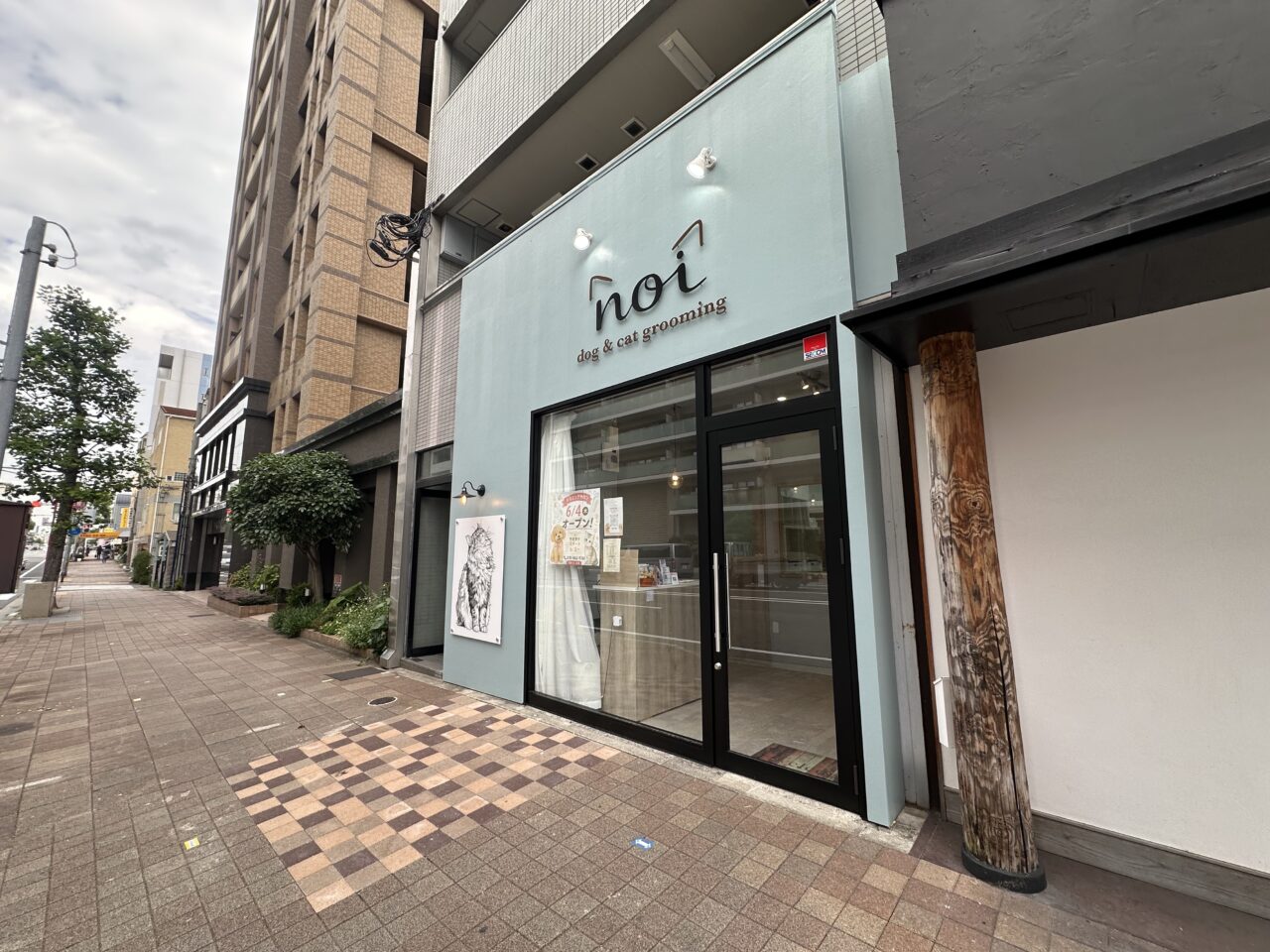 【神戸市灘区】犬と猫のトリミングサロン「dog&cat grooming noi」が6月4日オープン！ 水色の外観が目印です