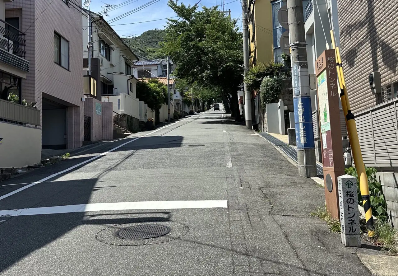 【神戸市灘区】あの「桜のトンネル」の桜が半数以上伐採…。梅雨の晴れ間、現地の様子を見てきました。