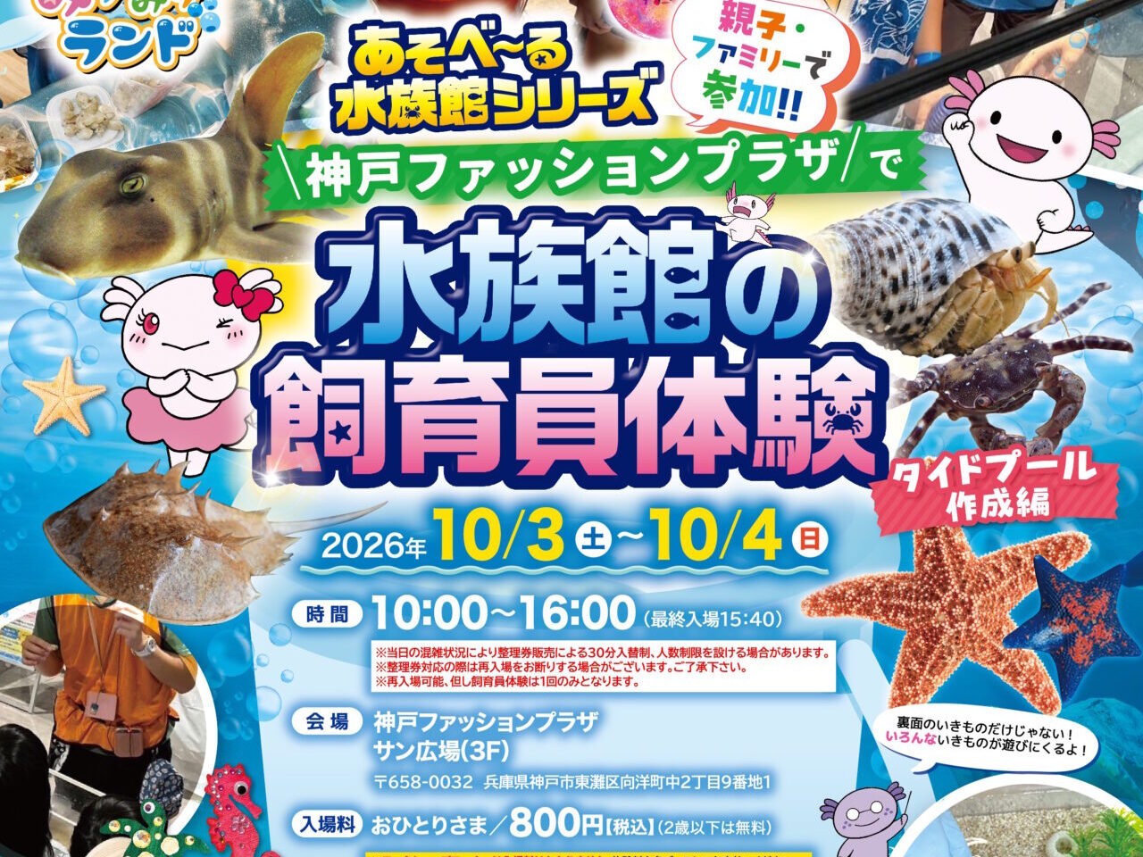 【神戸市東灘区】神戸ファッションプラザに“遊べる水族館”がやってくる！ 10月3・4日、本物の生き物に触れて「飼育員体験」も♪