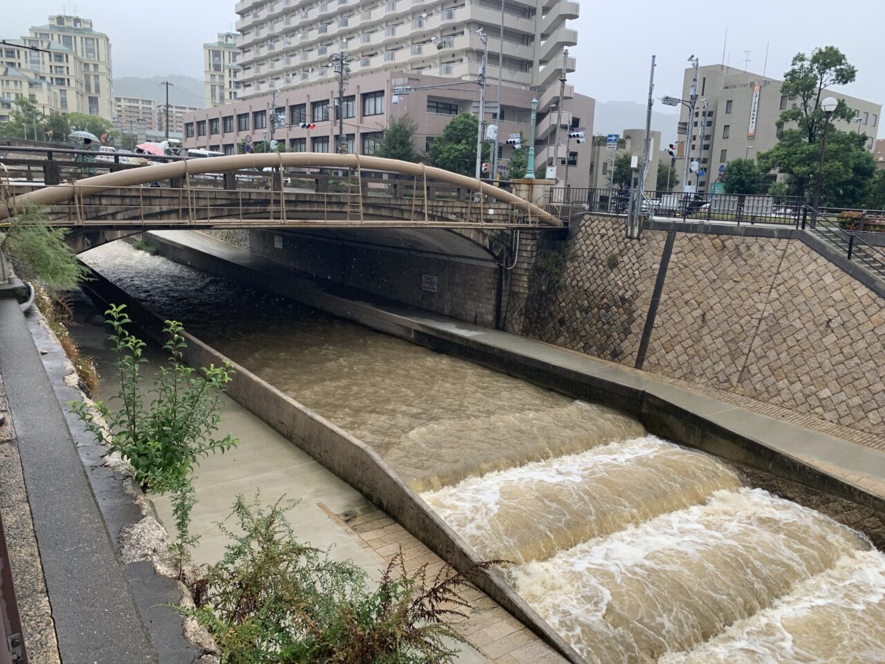 雨で水量が増した住吉川