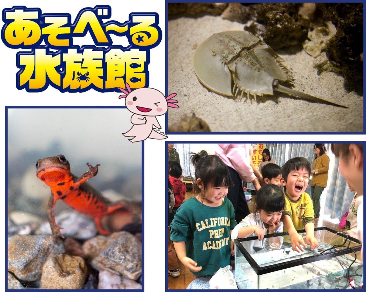 【神戸市東灘区】10月3連休はサンシャインワーフ神戸へ♪ キッチンカーが集結！ ピカチュウや水族館、ステージイベントも